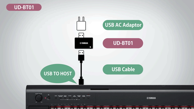 UD BT01Connection