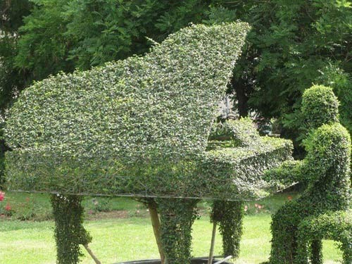 topiary of man playing grand piano